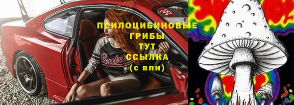 дмт Инсар
