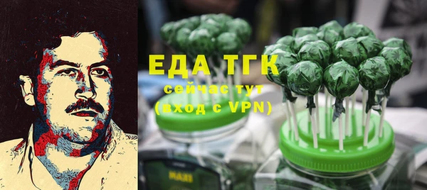 дмт Инсар